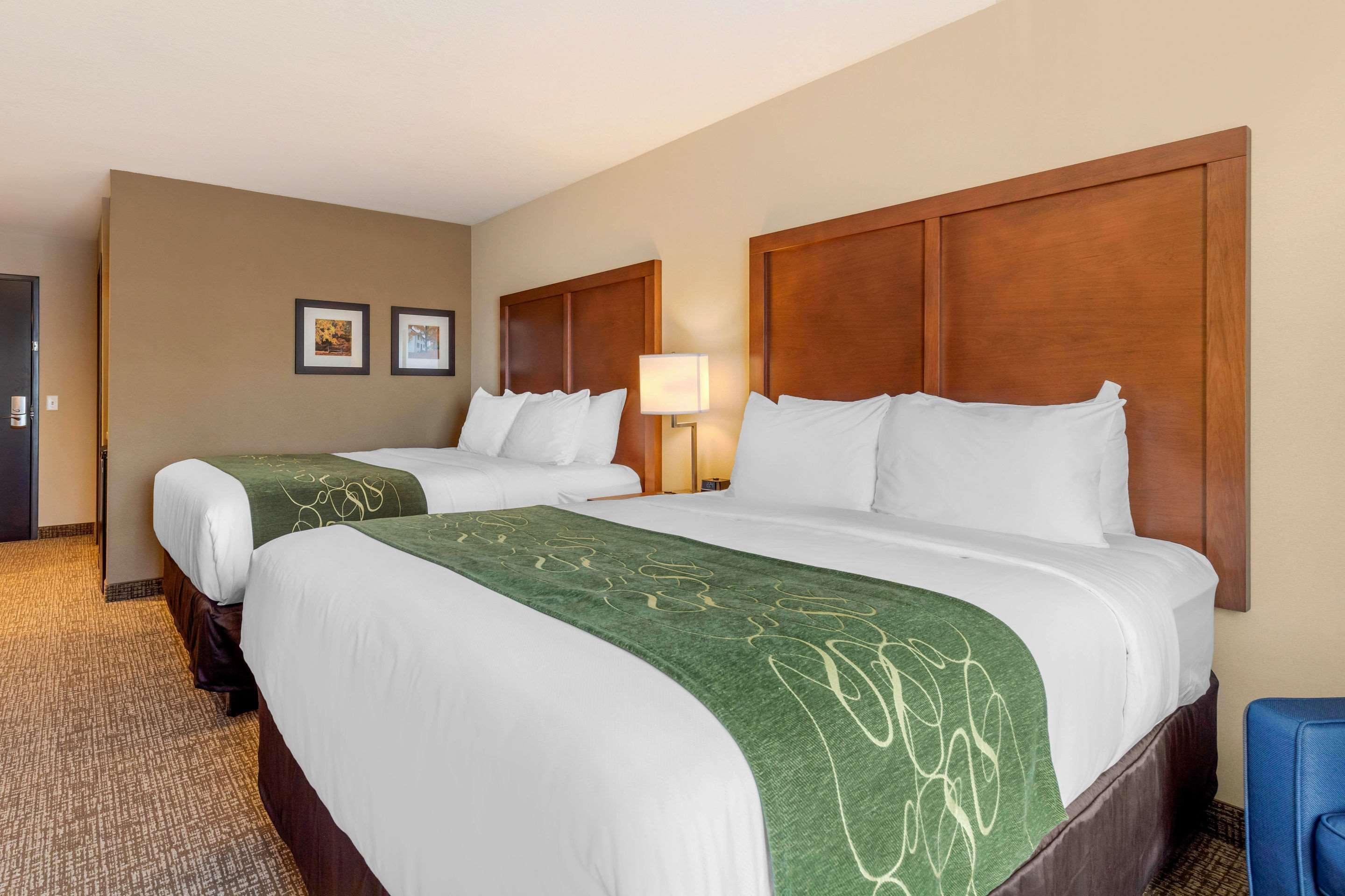 Comfort Inn & Suites Schenectady - Scotia Ngoại thất bức ảnh