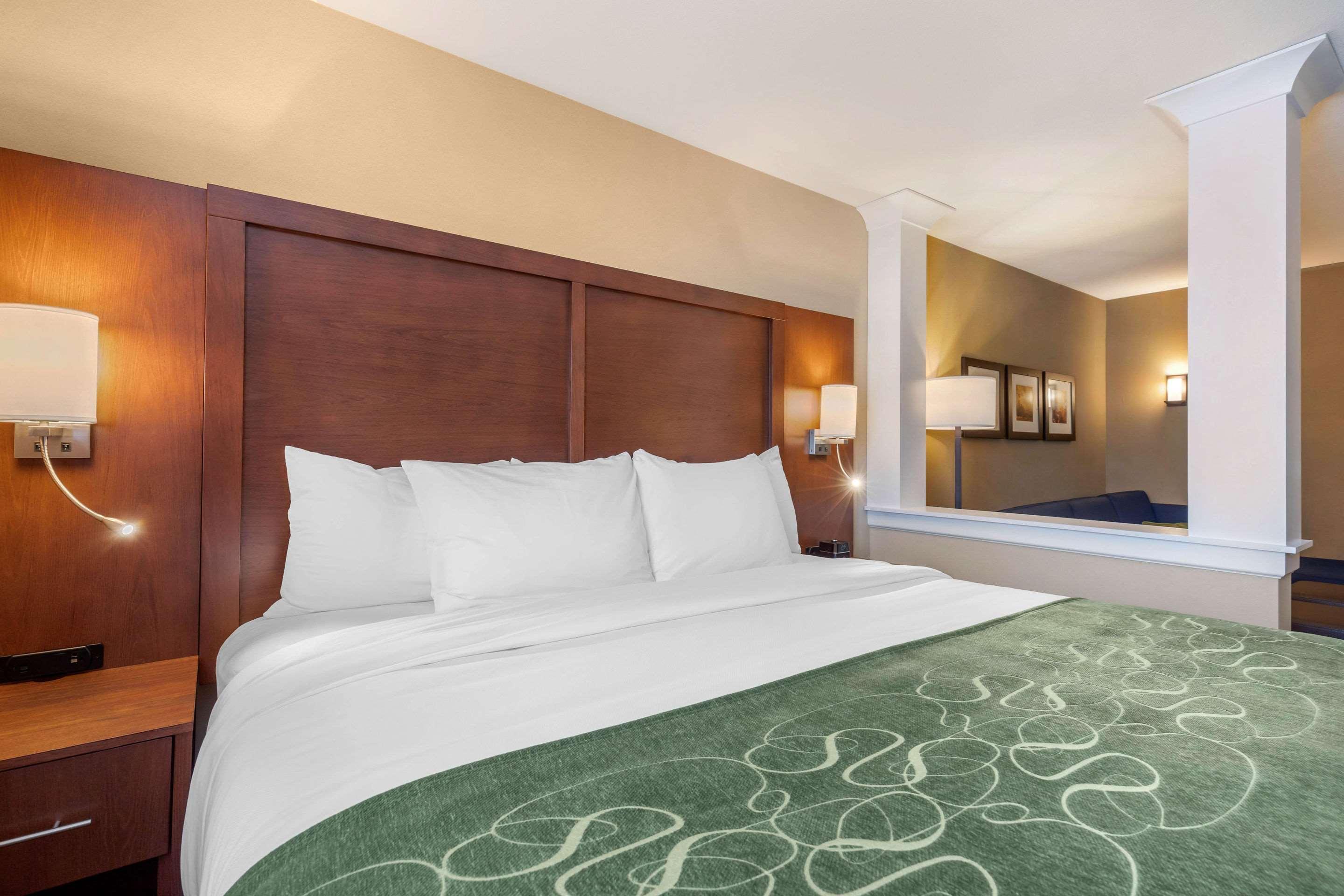 Comfort Inn & Suites Schenectady - Scotia Ngoại thất bức ảnh