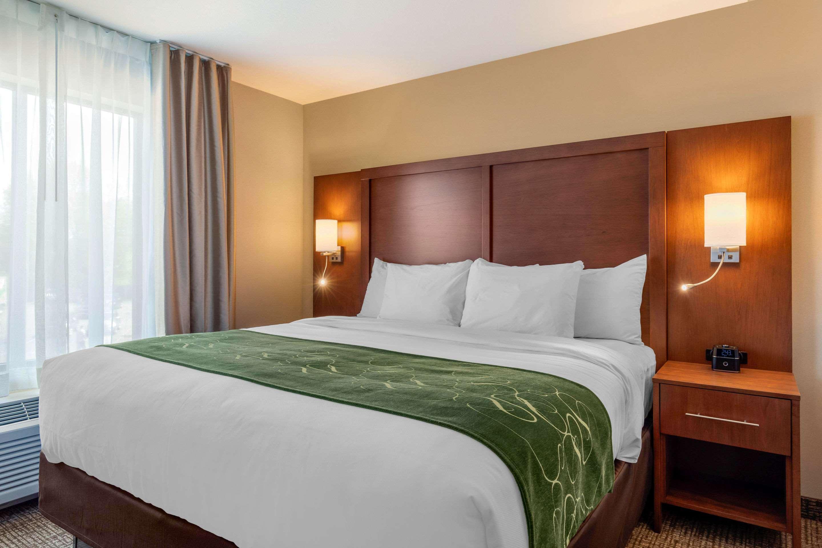 Comfort Inn & Suites Schenectady - Scotia Ngoại thất bức ảnh
