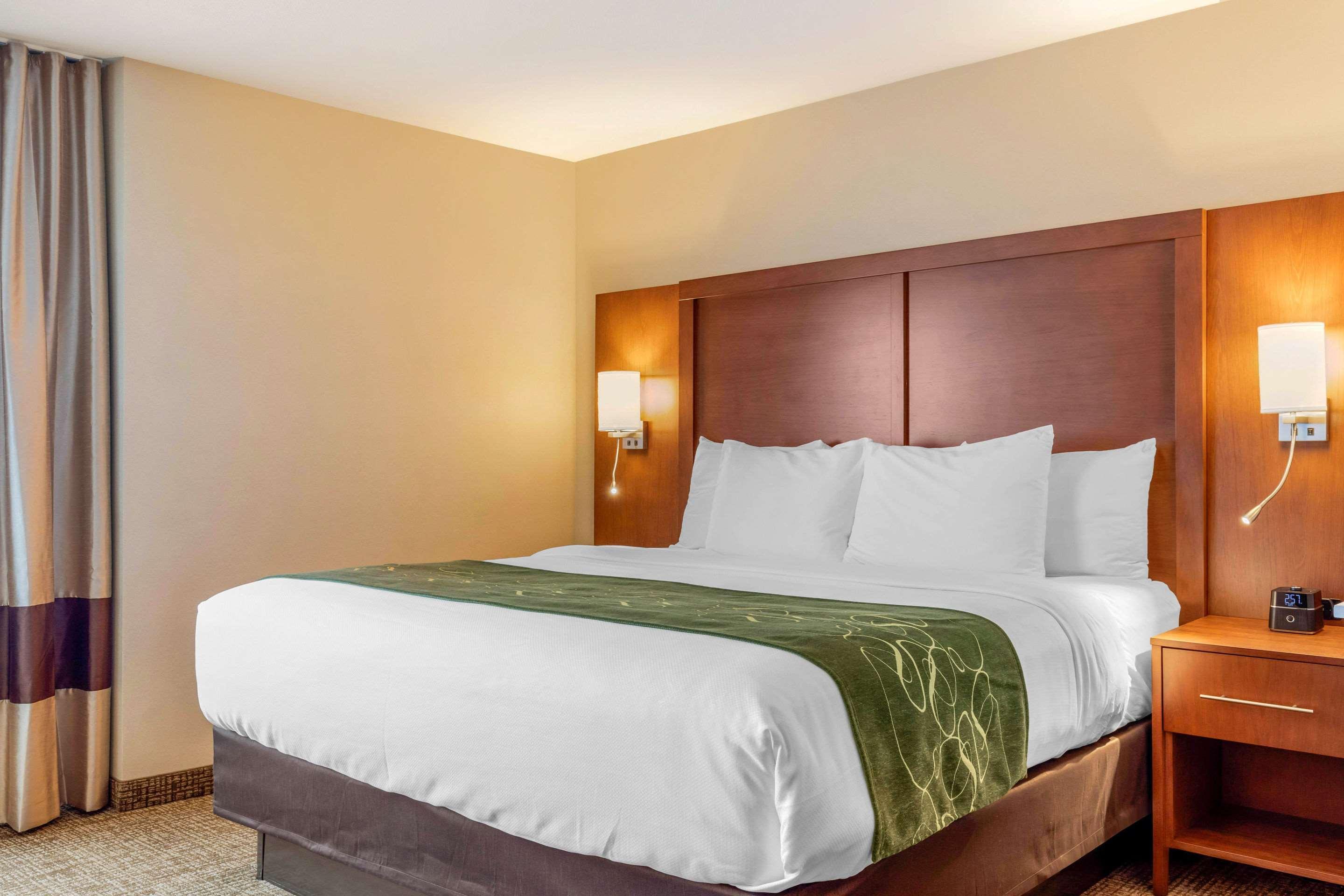 Comfort Inn & Suites Schenectady - Scotia Ngoại thất bức ảnh