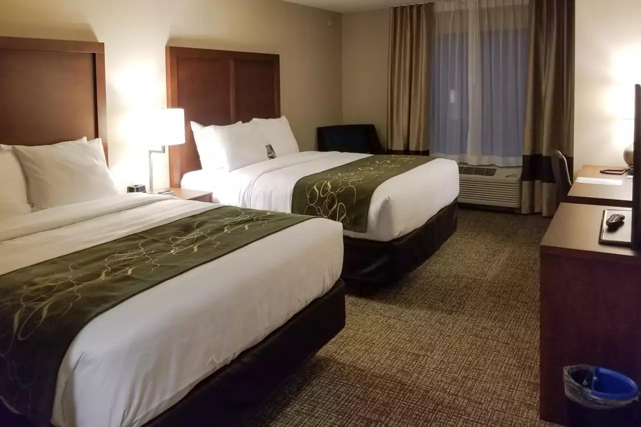 Comfort Inn & Suites Schenectady - Scotia Ngoại thất bức ảnh