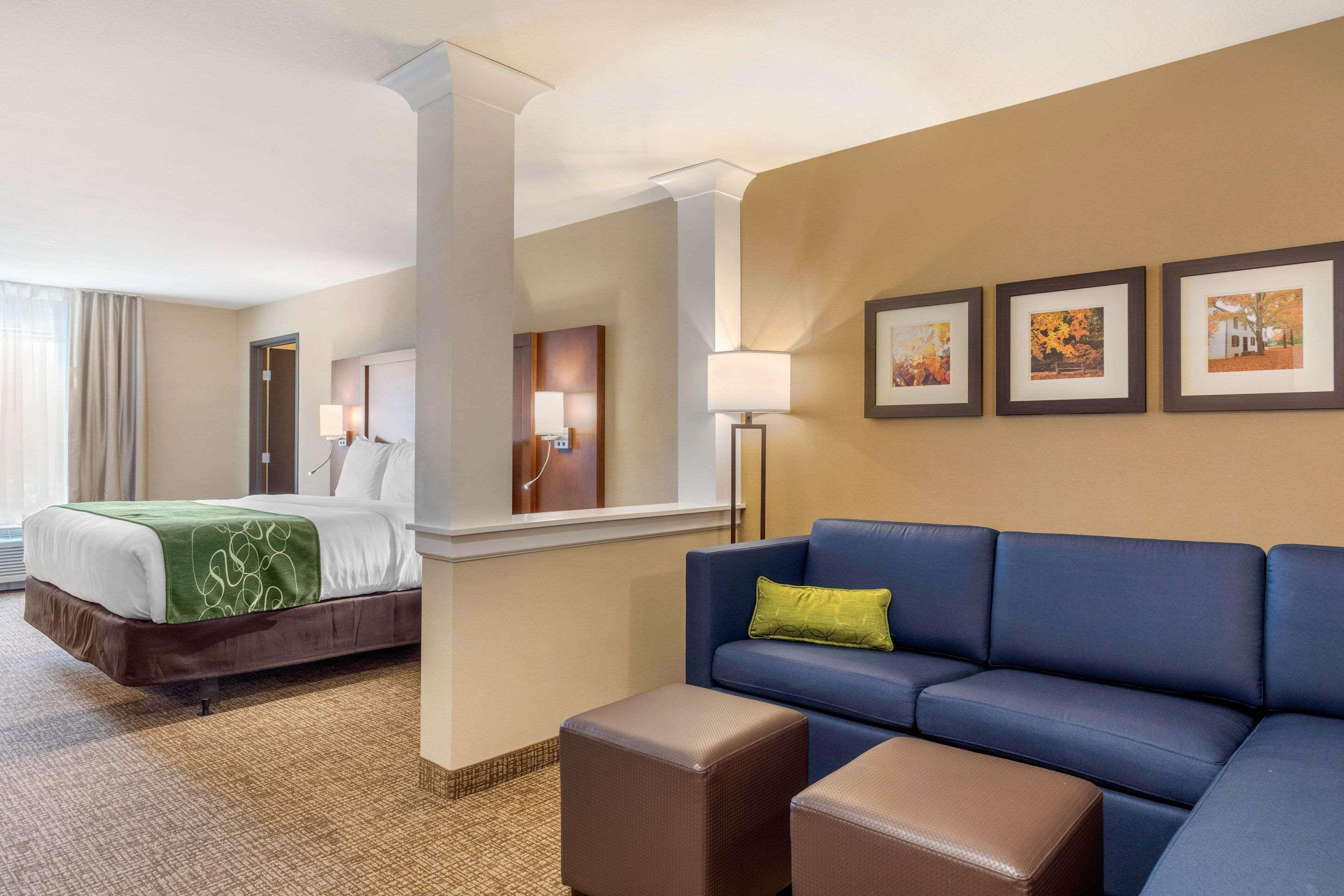 Comfort Inn & Suites Schenectady - Scotia Ngoại thất bức ảnh