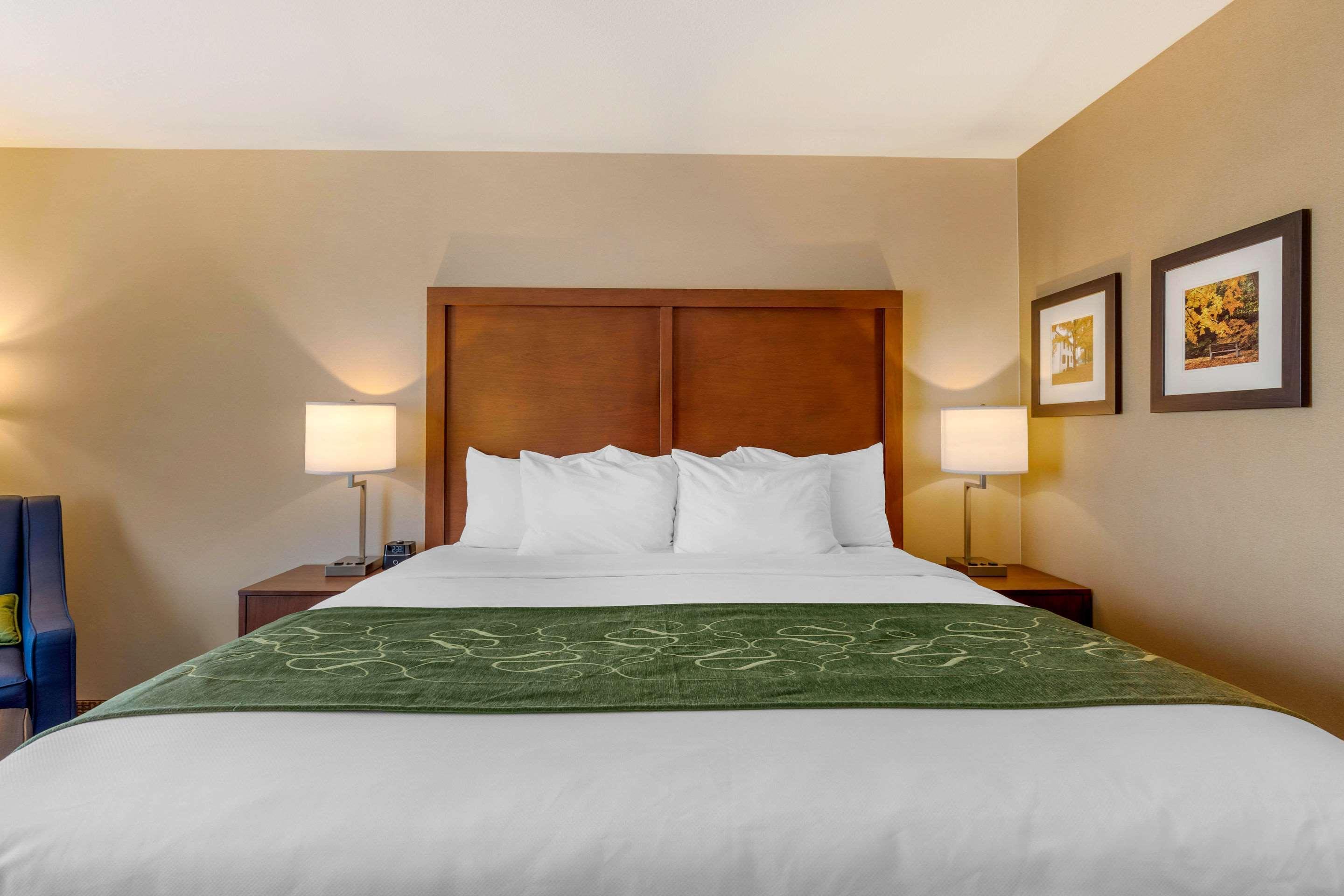 Comfort Inn & Suites Schenectady - Scotia Ngoại thất bức ảnh