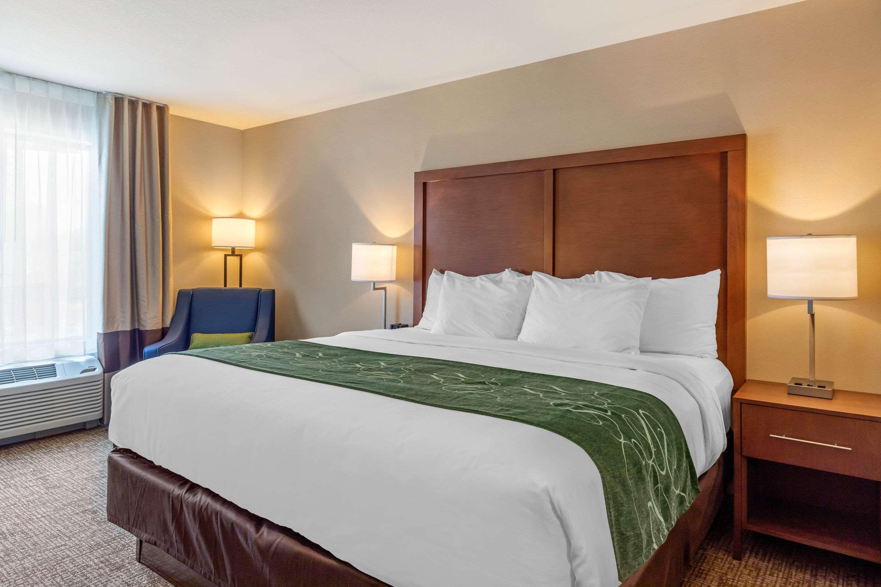 Comfort Inn & Suites Schenectady - Scotia Ngoại thất bức ảnh