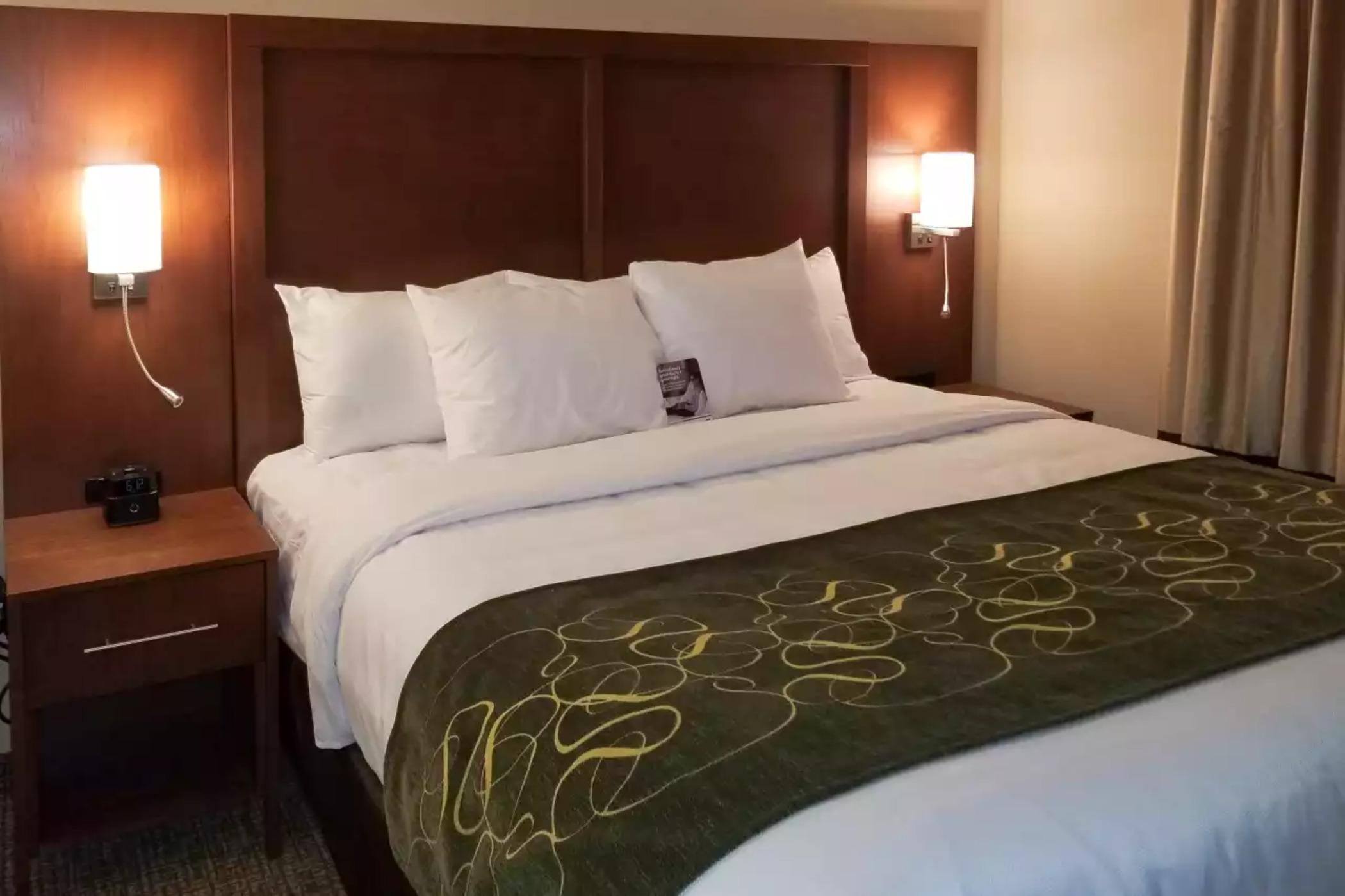 Comfort Inn & Suites Schenectady - Scotia Ngoại thất bức ảnh