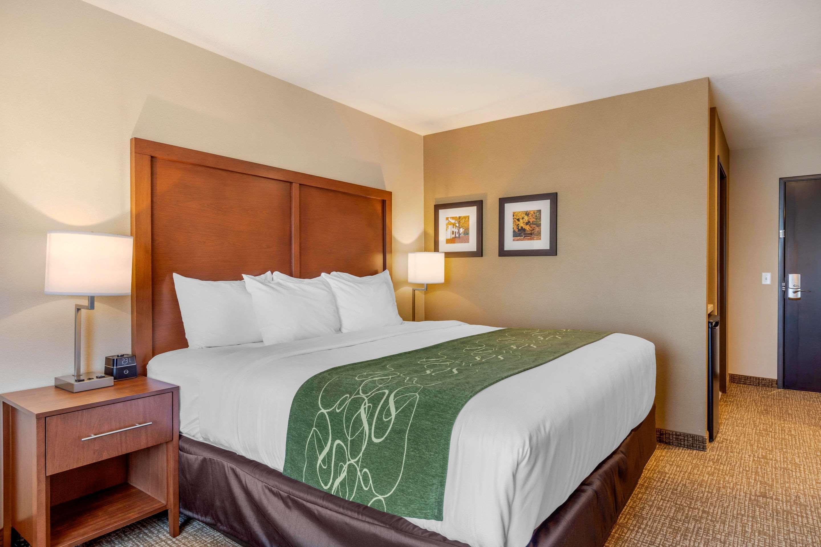 Comfort Inn & Suites Schenectady - Scotia Ngoại thất bức ảnh