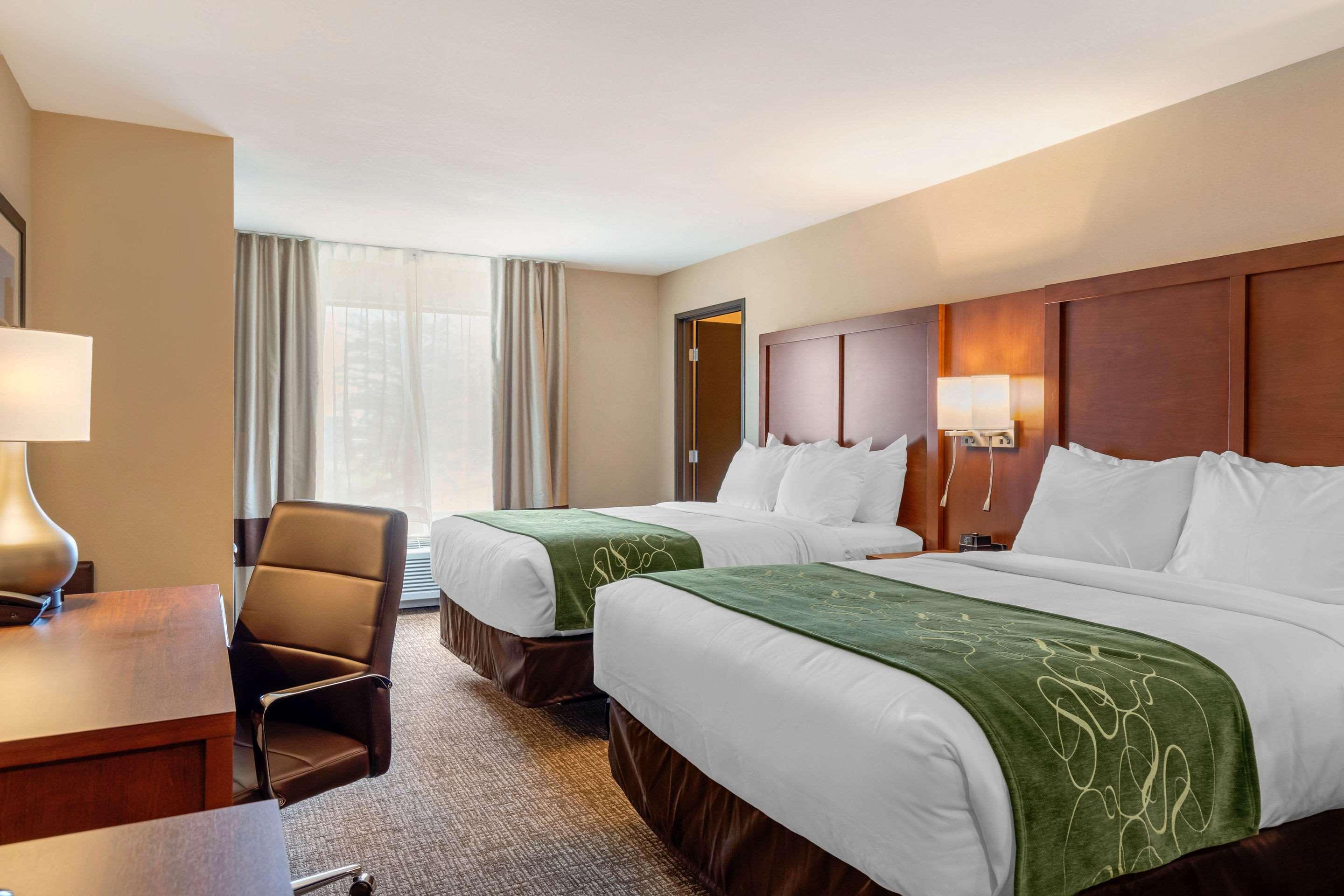 Comfort Inn & Suites Schenectady - Scotia Ngoại thất bức ảnh