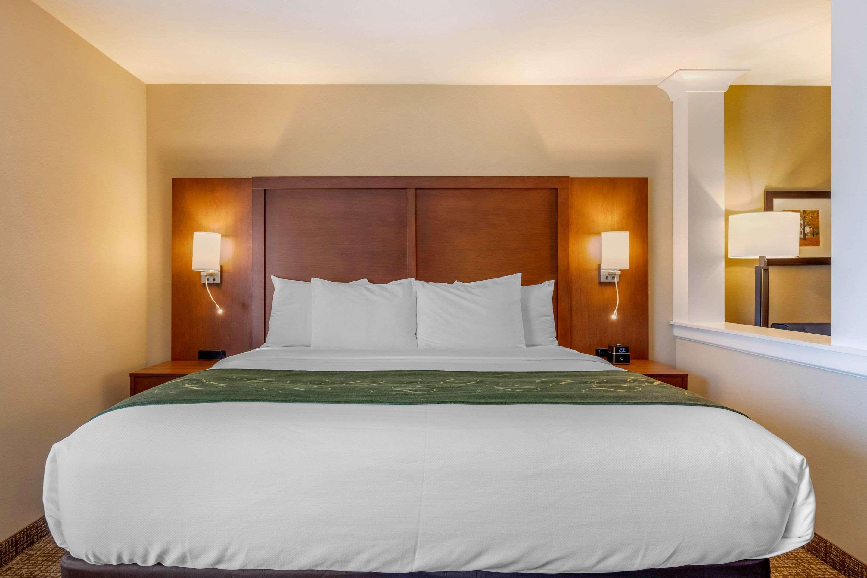 Comfort Inn & Suites Schenectady - Scotia Ngoại thất bức ảnh