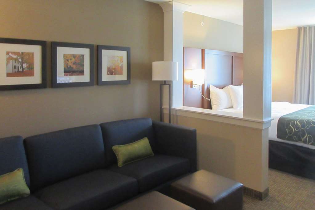 Comfort Inn & Suites Schenectady - Scotia Phòng bức ảnh