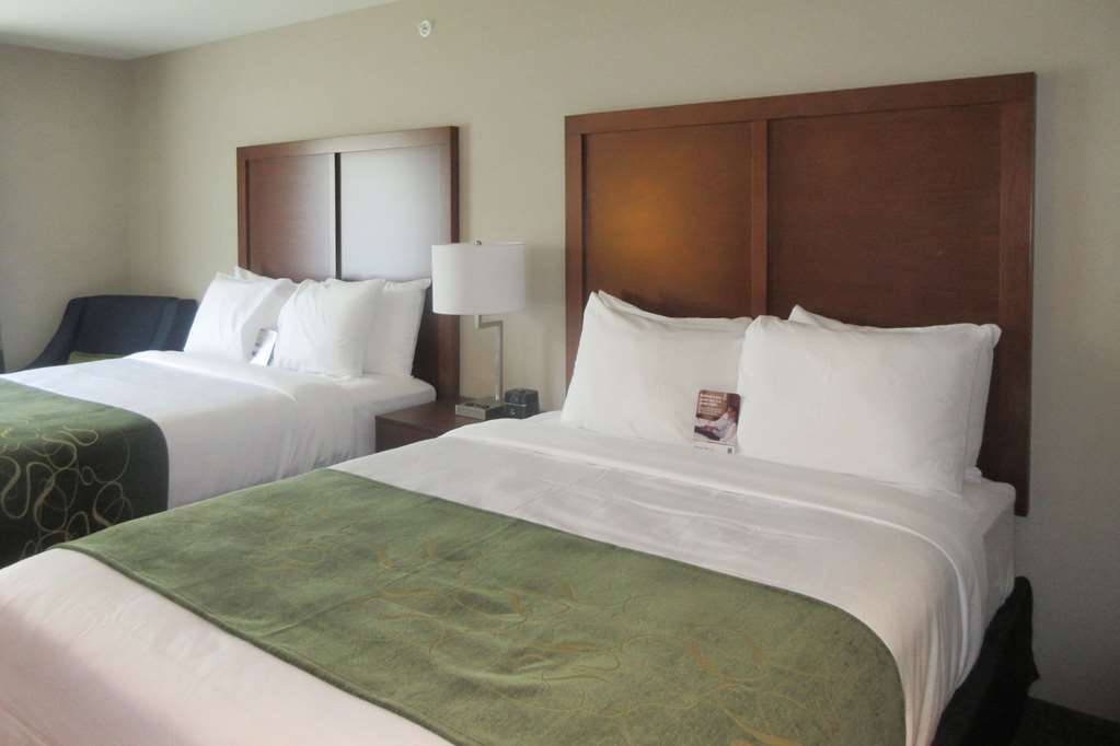 Comfort Inn & Suites Schenectady - Scotia Phòng bức ảnh