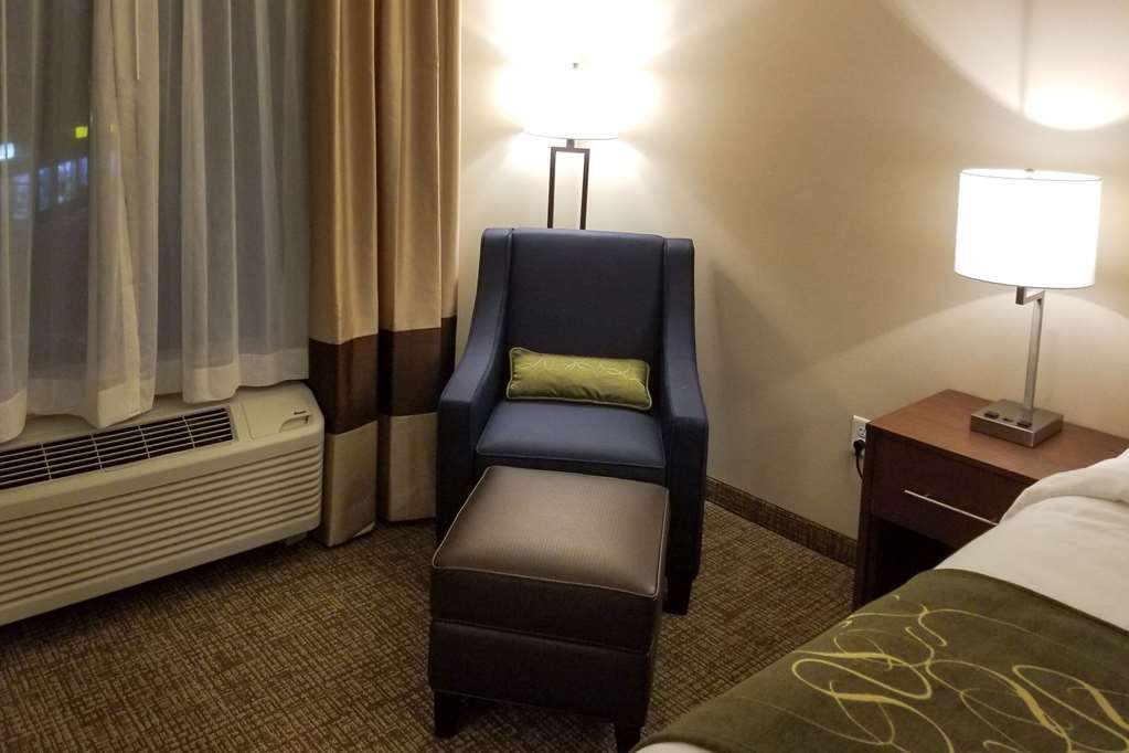 Comfort Inn & Suites Schenectady - Scotia Phòng bức ảnh